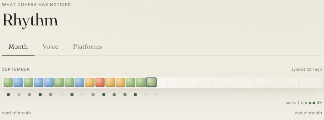 Cohera Rhythm monthly view with fifteen recorded energy check-ins.